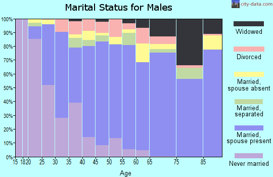 Zip code 93313 marital status for males