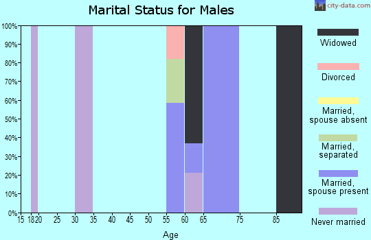 Zip code 93424 marital status for males