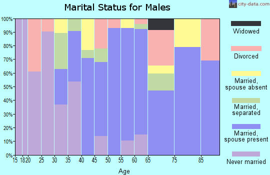 Zip code 93427 marital status for males
