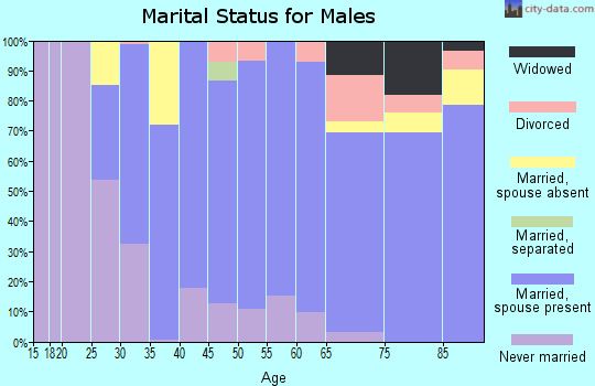 Zip code 93428 marital status for males