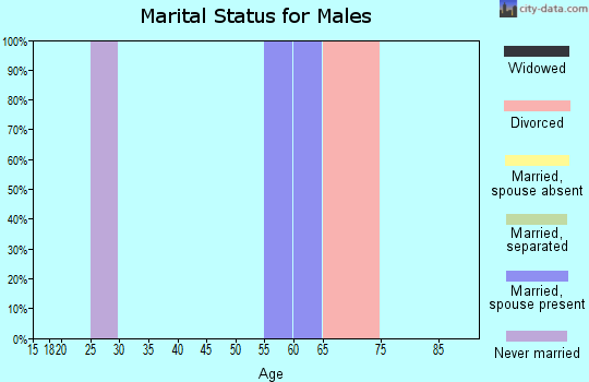 Zip code 93429 marital status for males