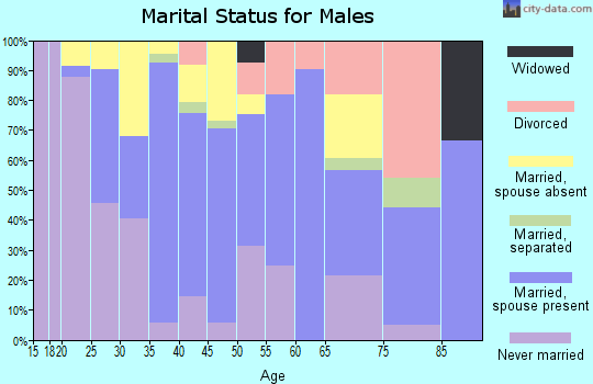 Zip code 93434 marital status for males