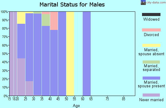 Zip code 93437 marital status for males