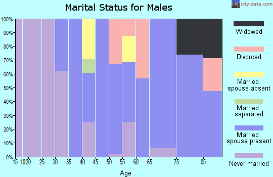 Zip code 93441 marital status for males