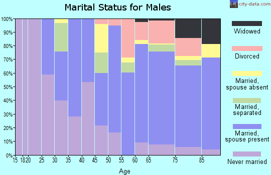 Zip code 93442 marital status for males