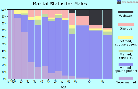 Zip code 93446 marital status for males