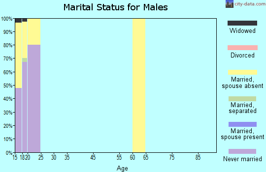 Zip code 93447 marital status for males