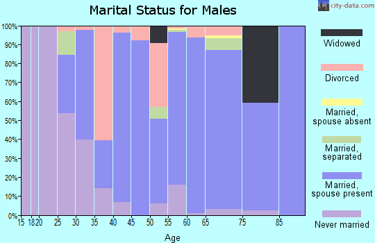 Zip code 93451 marital status for males