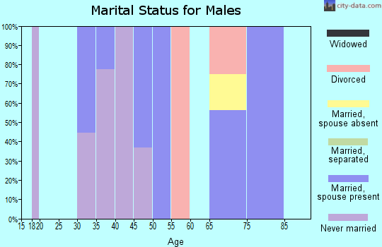 Zip code 93452 marital status for males