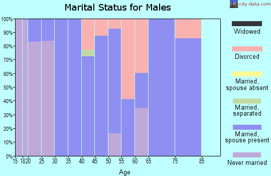 Zip code 93453 marital status for males