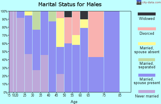 Zip code 93461 marital status for males