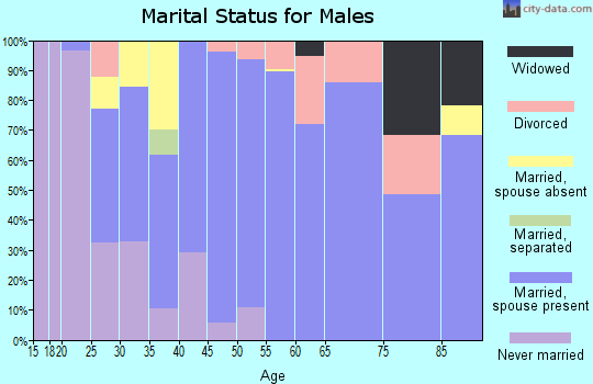 Zip code 93465 marital status for males