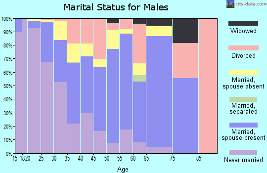 Zip code 93505 marital status for males