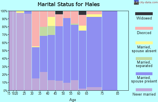 Zip code 93510 marital status for males