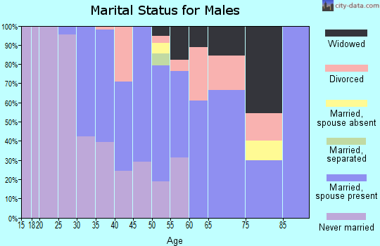 Zip code 93513 marital status for males
