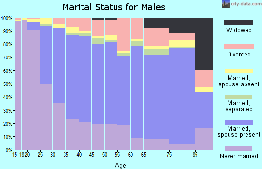Zip code 93535 marital status for males