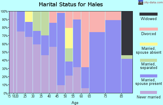Zip code 93591 marital status for males