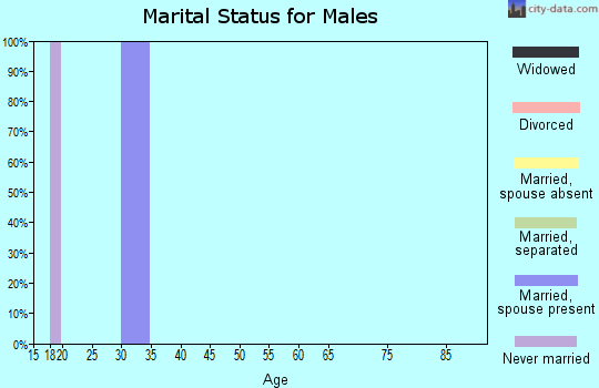 Zip code 93627 marital status for males