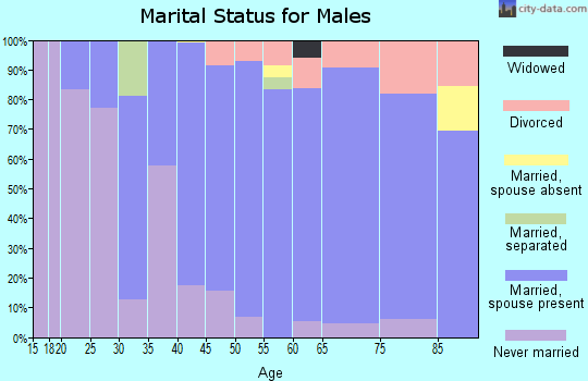 Zip code 94028 marital status for males