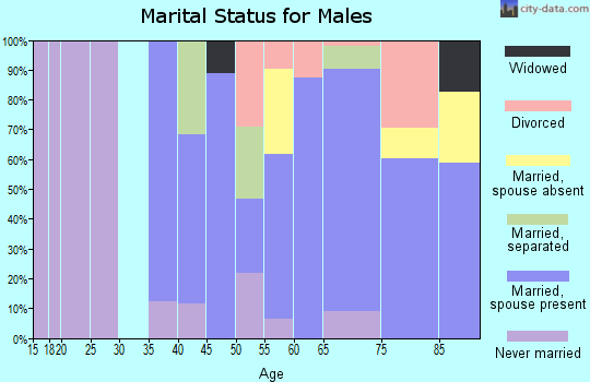 Zip code 94038 marital status for males