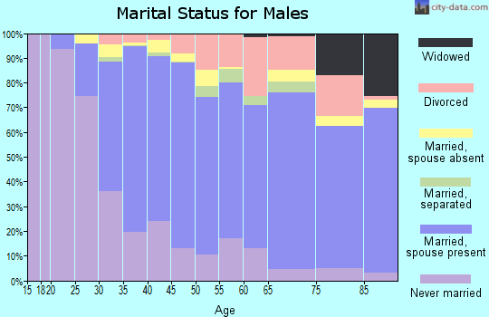 Zip code 94040 marital status for males