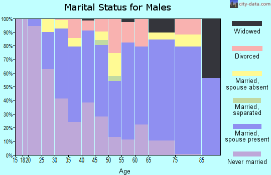 Zip code 94041 marital status for males