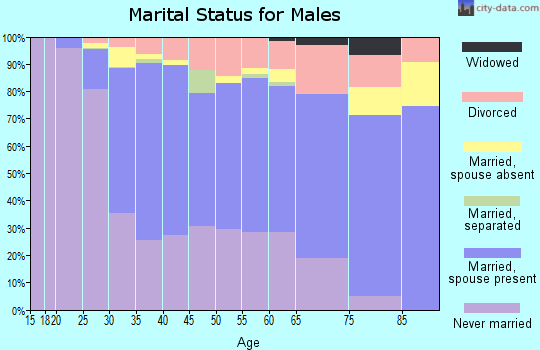 Zip code 94043 marital status for males