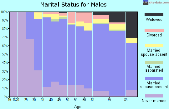 Zip code 94087 marital status for males