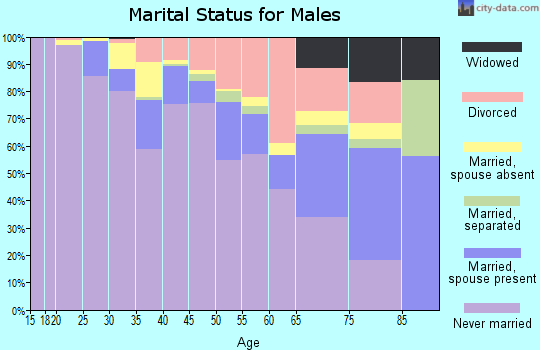 Zip code 94102 marital status for males