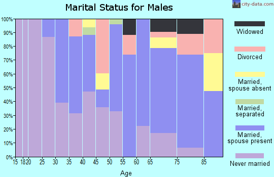 Zip code 94111 marital status for males