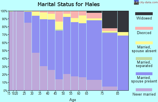 Zip code 94116 marital status for males