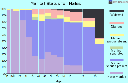 Zip code 94121 marital status for males
