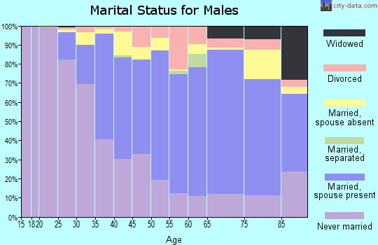 Zip code 94132 marital status for males