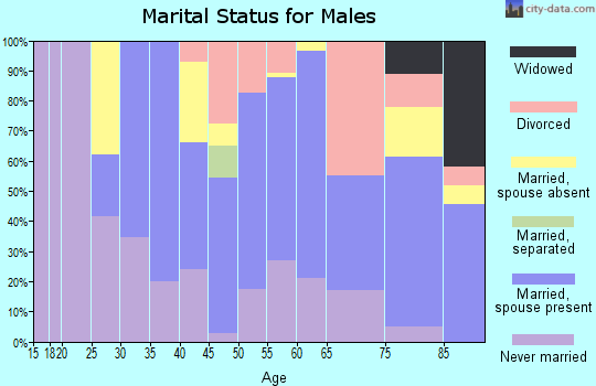 Zip code 94304 marital status for males