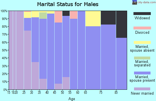 Zip code 94305 marital status for males