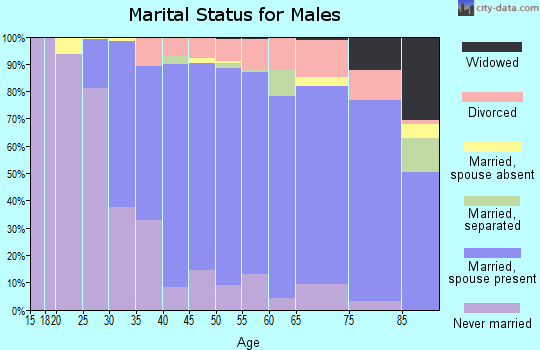 Zip code 94306 marital status for males