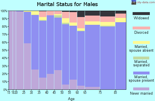Zip code 94404 marital status for males