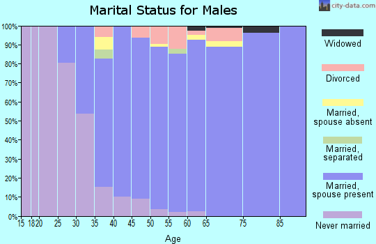 Zip code 94507 marital status for males