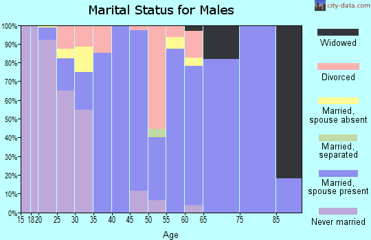 Zip code 94508 marital status for males
