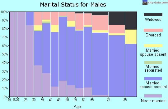 Zip code 94510 marital status for males