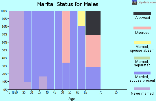 Zip code 94514 marital status for males