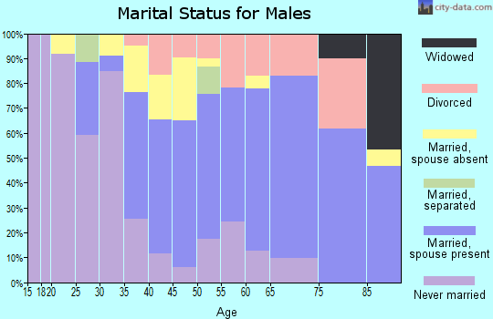 Zip code 94515 marital status for males