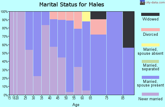 Zip code 94525 marital status for males