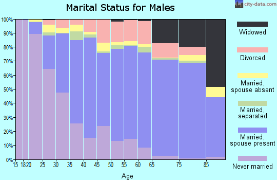 Zip code 94533 marital status for males