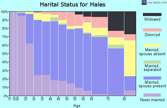 Zip code 94538 marital status for males