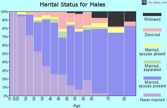 Zip code 94560 marital status for males