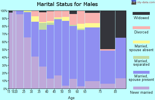 Zip code 94561 marital status for males