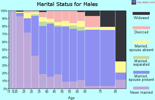 Zip code 94568 marital status for males