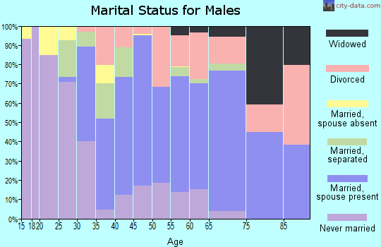 Zip code 94572 marital status for males