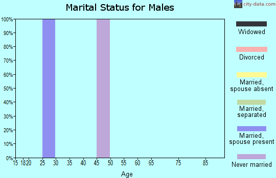 Zip code 94576 marital status for males
